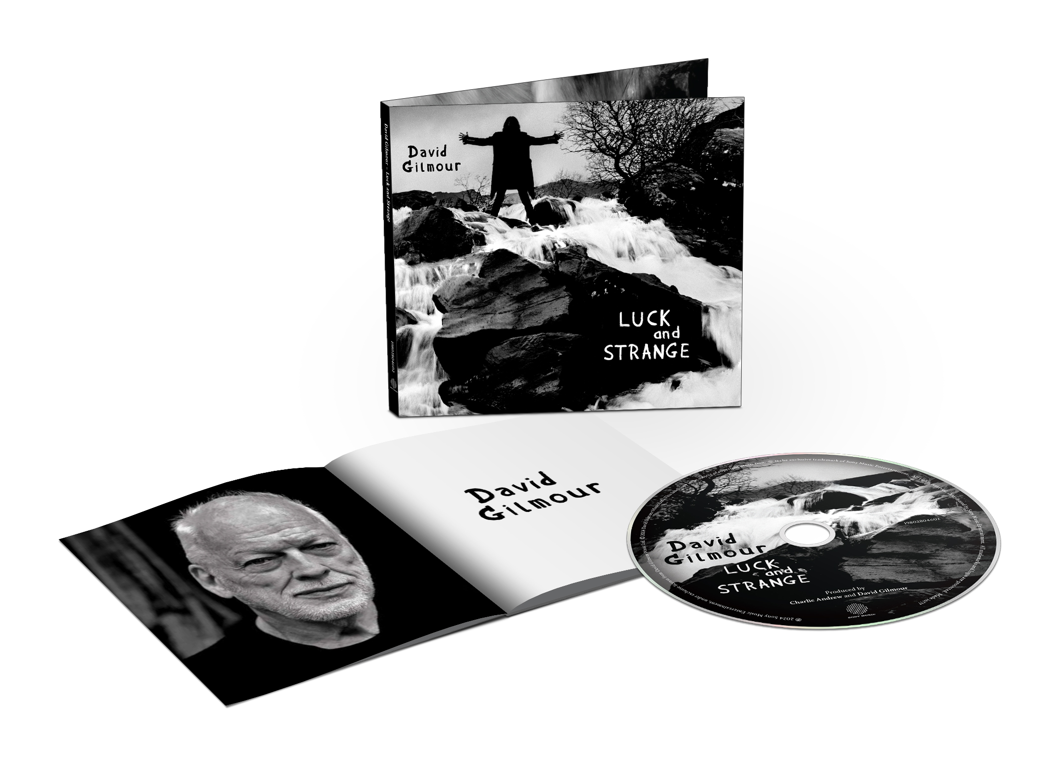 Gilmour, David - David Gilmour - Luck And Strange [cd] [CD]